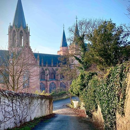 Schoenster Blick Auf Oppenheim! Экстерьер фото